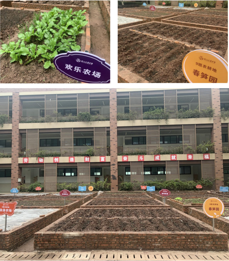重庆市两江巴蜀中学