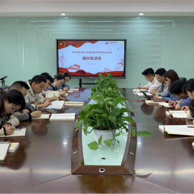 两江巴蜀初级中学校第三党支部5月组织生活会